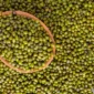 Cara Merendam Kacang Hijau agar Cepat Empuk, Matang Merata, dan Tetap Utuh Saat Dimasak. (Foto: rsmmbogor)