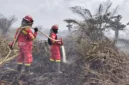 Karhutla di Taman Nasional Berbak dan Sembilang Meluas, Petugas Terkendala Sumber Air. (Foto: Dok Daops Manggala Agni Kota Jambi/mediaindonesia)