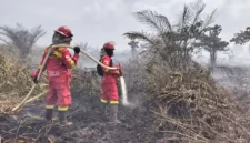 Karhutla di Taman Nasional Berbak dan Sembilang Meluas, Petugas Terkendala Sumber Air. (Foto: Dok Daops Manggala Agni Kota Jambi/mediaindonesia)
