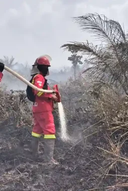 Karhutla di Taman Nasional Berbak dan Sembilang Meluas, Petugas Terkendala Sumber Air