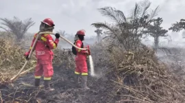 Karhutla di Taman Nasional Berbak dan Sembilang Meluas, Petugas Terkendala Sumber Air. (Foto: Dok Daops Manggala Agni Kota Jambi/mediaindonesia)