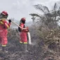 Karhutla di Taman Nasional Berbak dan Sembilang Meluas, Petugas Terkendala Sumber Air. (Foto: Dok Daops Manggala Agni Kota Jambi/mediaindonesia)