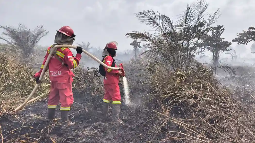 Karhutla di Taman Nasional Berbak dan Sembilang Meluas, Petugas Terkendala Sumber Air. (Foto: Dok Daops Manggala Agni Kota Jambi/mediaindonesia)