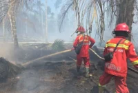Hujan Padamkan Api di 7 Titik TN Berbak, Petugas Dinginkan Gambut yang Masih Berasap. (Foto: ANTARA/HO/Manggala Agni)