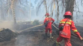 Hujan Padamkan Api di 7 Titik TN Berbak, Petugas Dinginkan Gambut yang Masih Berasap. (Foto: ANTARA/HO/Manggala Agni)