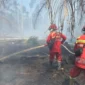 Hujan Padamkan Api di 7 Titik TN Berbak, Petugas Dinginkan Gambut yang Masih Berasap. (Foto: ANTARA/HO/Manggala Agni)