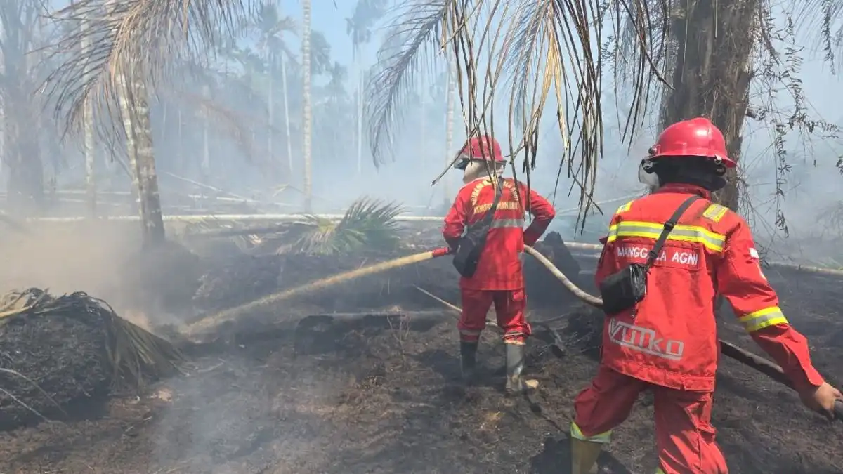 Hujan Padamkan Api di 7 Titik TN Berbak, Petugas Dinginkan Gambut yang Masih Berasap. (Foto: ANTARA/HO/Manggala Agni)