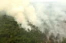 Kemenhut Sanksi 32 Perusahaan Terkait Karhutla, Dua di Jambi. (Foto: ANTARA FOTO/SYIFA YULINNAS/cnnindonesia)