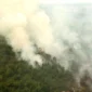 Kemenhut Sanksi 32 Perusahaan Terkait Karhutla, Dua di Jambi. (Foto: ANTARA FOTO/SYIFA YULINNAS/cnnindonesia)
