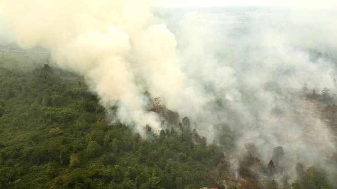 Kemenhut Sanksi 32 Perusahaan Terkait Karhutla, Dua di Jambi. (Foto: ANTARA FOTO/SYIFA YULINNAS/cnnindonesia)
