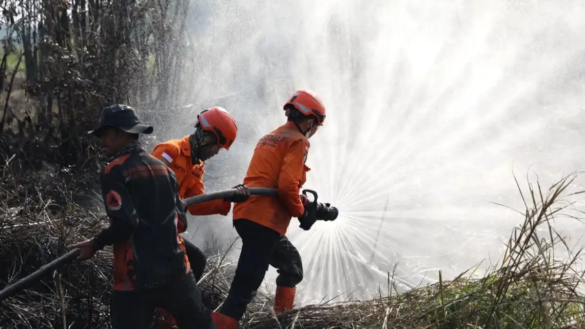 Satgas Karhutla Jambi Kerahkan 90 Personel ke Titik Api Berbak dan Sembilang Jambi. (Foto: bnpb)