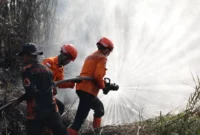 Satgas Karhutla Jambi Kerahkan 90 Personel ke Titik Api Berbak dan Sembilang Jambi. (Foto: bnpb)