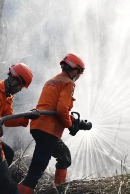 Satgas Karhutla Jambi Kerahkan 90 Personel ke Titik Api Berbak dan Sembilang Jambi