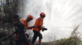 Satgas Karhutla Jambi Kerahkan 90 Personel ke Titik Api Berbak dan Sembilang Jambi. (Foto: bnpb)