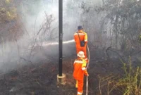Karhutla Batang Hari Capai 1.497 Hektare, Tahura Sultan Thaha Jadi Wilayah Terparah. (Foto: Pirdana Atrio-Jambi TV)