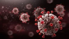 Virus Shamonda yang Biasanya Menyerang Hewan Ternak Kini Terdeteksi pada Manusia untuk Pertama Kali. (Foto: Getty Images/loops7/detik)