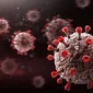 Virus Shamonda yang Biasanya Menyerang Hewan Ternak Kini Terdeteksi pada Manusia untuk Pertama Kali. (Foto: Getty Images/loops7/detik)