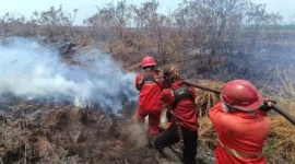 Karhutla Jambi Capai 4.335 Hektare, Batanghari Catat Luas Kebakaran Terbesar. (Foto: kehutanan)