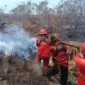 Karhutla Jambi Capai 4.335 Hektare, Batanghari Catat Luas Kebakaran Terbesar. (Foto: kehutanan)