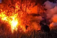 Dua Petani Tanjabbar Jadi Tersangka Karhutla, Ini Kronologi dan Pengakuan Salah Satunya. (Foto: Istimewa/mabur)