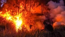 Dua Petani Tanjabbar Jadi Tersangka Karhutla, Ini Kronologi dan Pengakuan Salah Satunya. (Foto: Istimewa/mabur)
