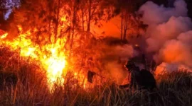 Dua Petani Tanjabbar Jadi Tersangka Karhutla, Ini Kronologi dan Pengakuan Salah Satunya. (Foto: Istimewa/mabur)